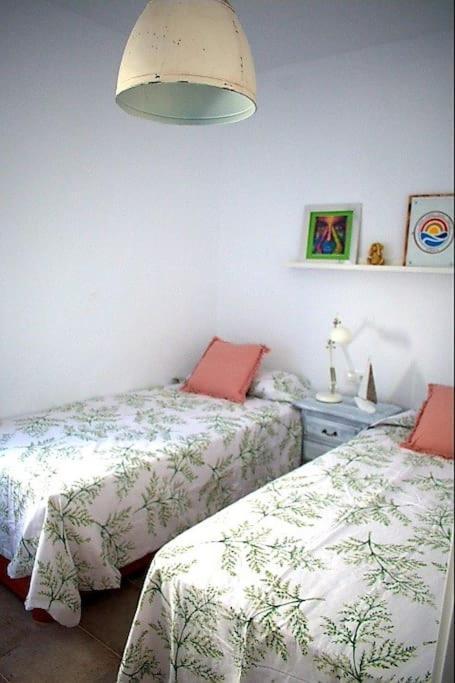 Espectacular Casa Muy Luminosa Con Azotea Apartment Conil De La Frontera Ngoại thất bức ảnh